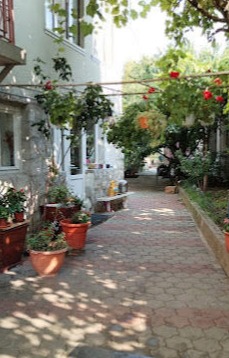 Casa Criss Raza de Soare